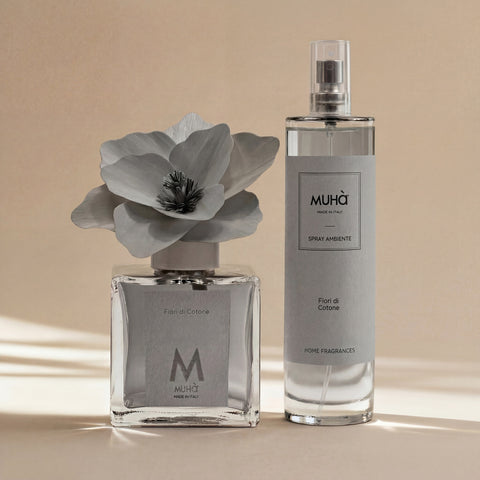 Cotton Magnolia